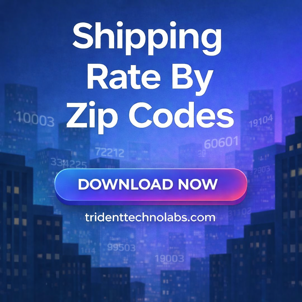 Website Development Mockup